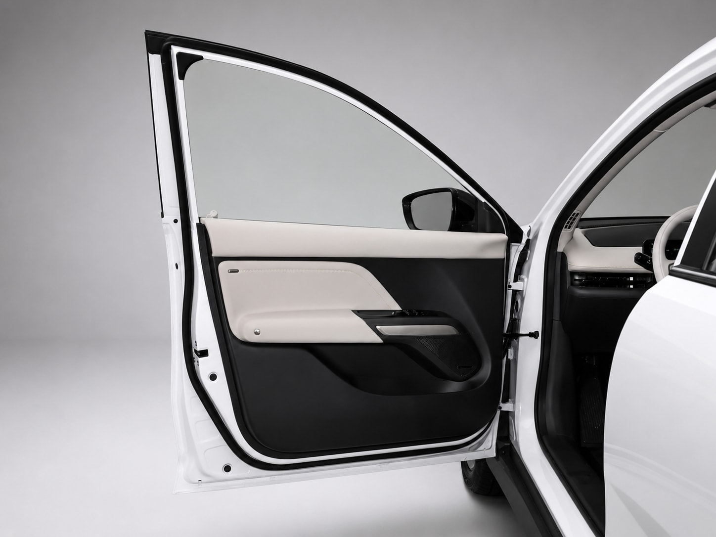 Door panel — white trim detail